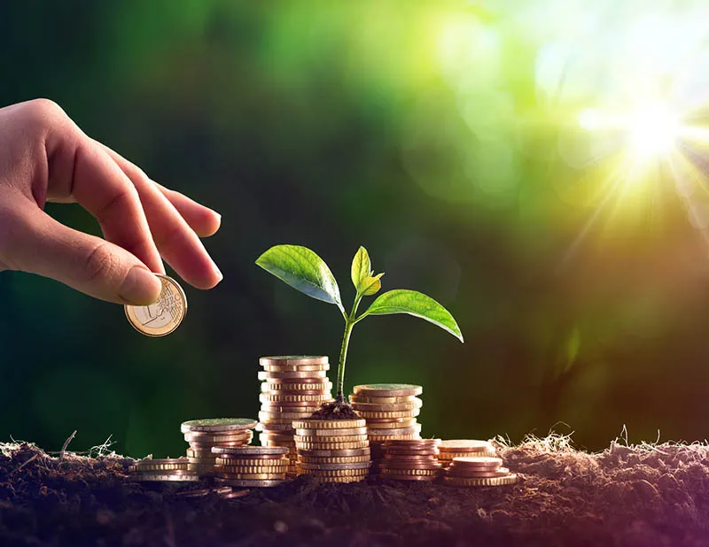 What is Passive Income? Passive Income Opportunities