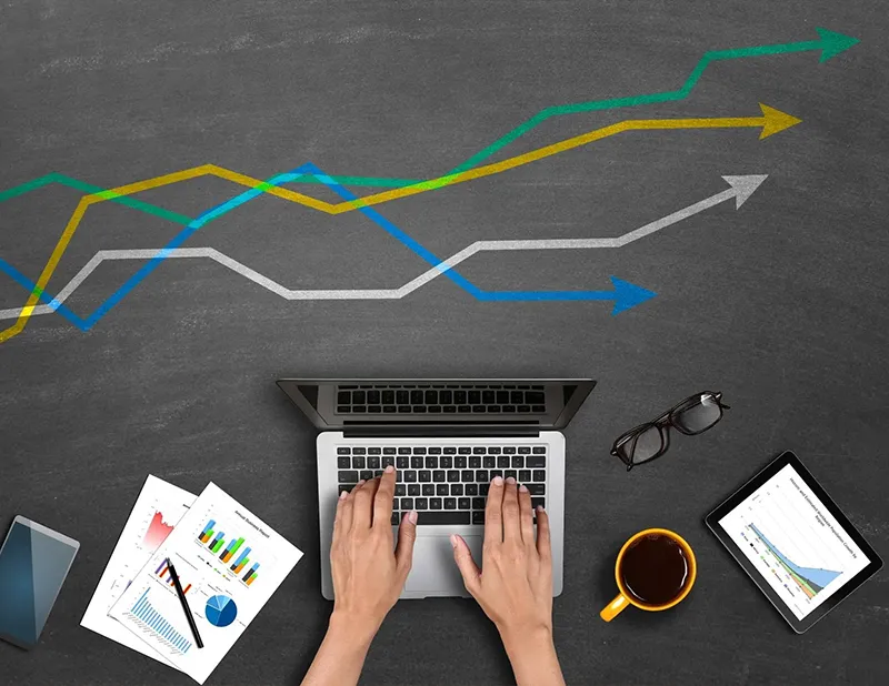 The Key to Effective Market Research: What Are Demographics in Marketing?