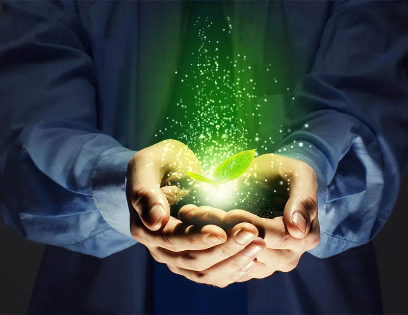 Green Marketing (Yeşil Pazarlama) Nedir? Nasıl Yapılır?